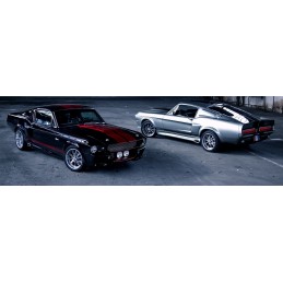 Eleanor GT500 Body kit Extreme Premium Quality Shelby 67 68