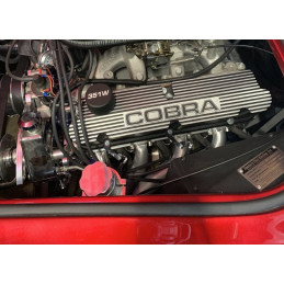 KAPAP ZAWOROWE COBRA, 289 302 351 W ELEANOR GT500