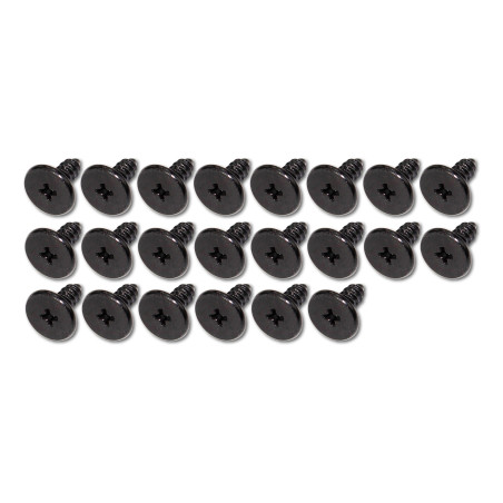 Roof Rail Molding Screws (22) 64-67