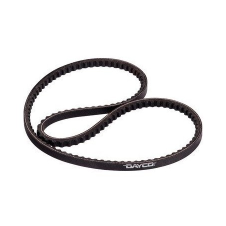 V-Belt 11 x 790 / 0.44 x 31" 64-73