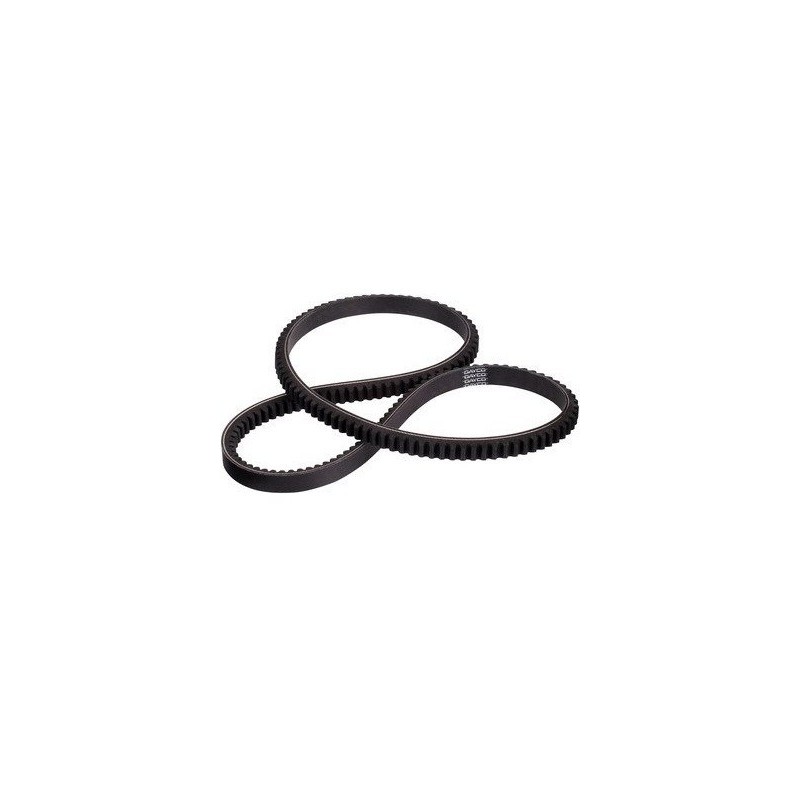 V-Belt 13 x 1320 / 0.53 x 52" 64-73