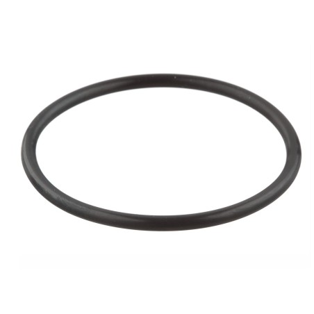 Oil Pump O-Ring C4 64-73