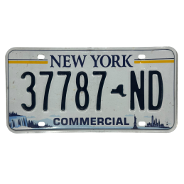 ŠPZ New Yorku