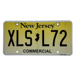 ŠPZ New Jersey
