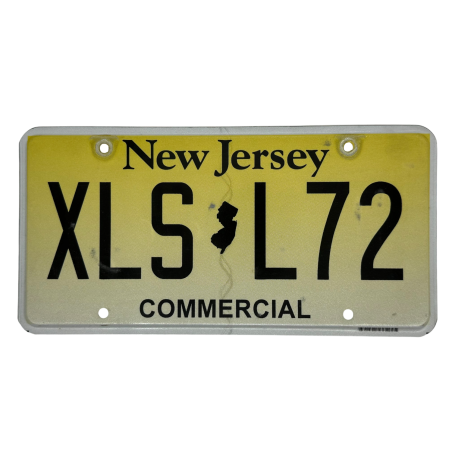 ŠPZ New Jersey