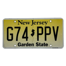 ŠPZ New Jersey