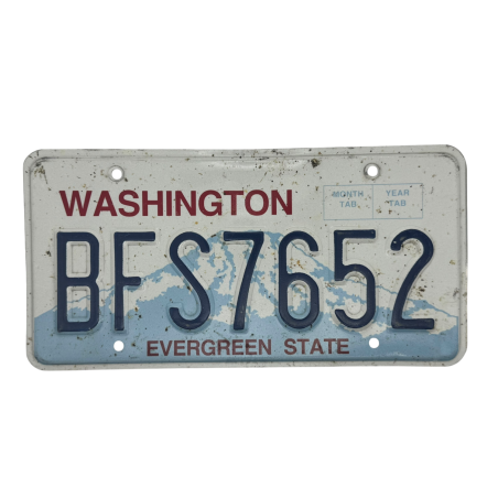 ŠPZ Washington