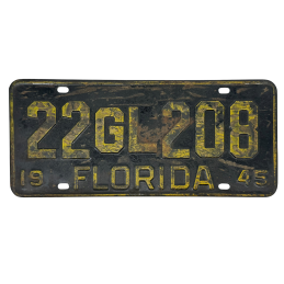 ŠPZ na Floride