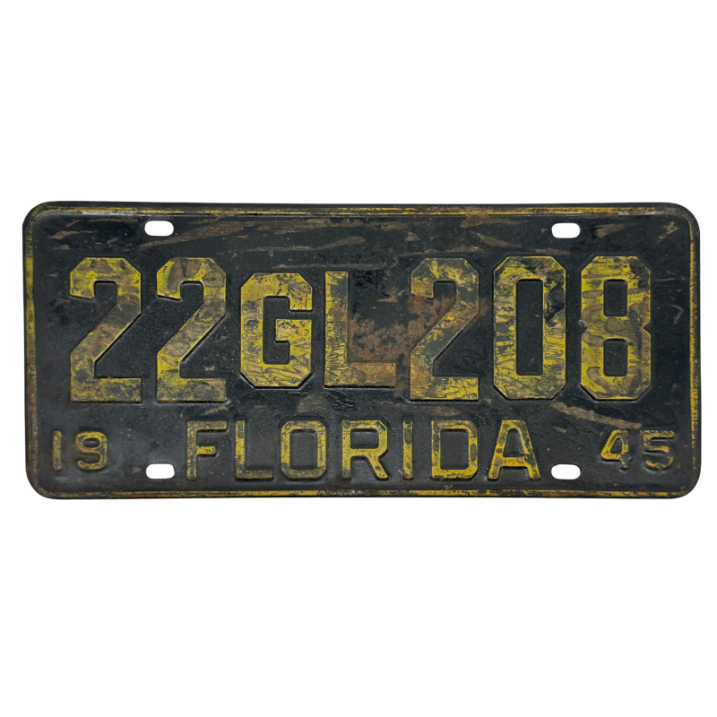 ŠPZ na Floride ŠPZ na Floride